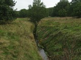 Wasser wie immer nur in künstlichen tiefen Kanälen