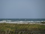 die letzten Kilometer gehen dem Strand entlang