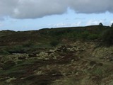 erstaunlich schnell wird das Wetter dann aber gut, auf dem Weg durch die Heide wieder an den Strand