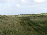 auf dem Strandpfad