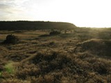 Blick am Abend auf Klim Bjerg