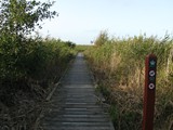 einige Kilometer östlich wieder draußen in der Natur