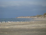 Blick nach Norden, man kann schon Skagen-West (Hojen) erkennen