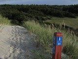 dann geht wieder ins Landesinnere und hinüber bis fast an die Ostküste zum Übernachtungsplatz