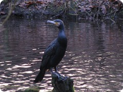 im Schloßpark