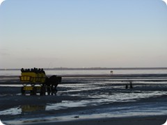 Watt"strasse" zur Insel Neuwerk