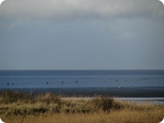 Straße unter Wasser