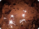 Sparsames Coronafeuerwerk am Strand